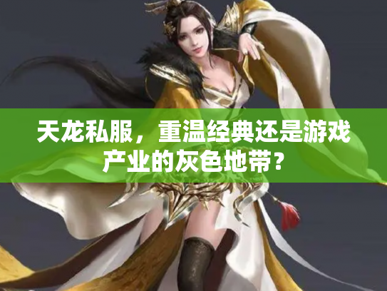 天龙私服，重温经典还是游戏产业的灰色地带？