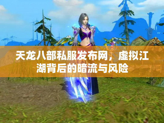 天龙八部私服发布网，虚拟江湖背后的暗流与风险