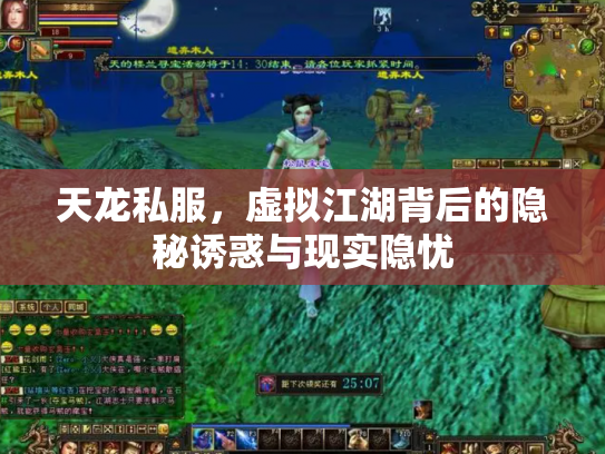 天龙私服，虚拟江湖背后的隐秘诱惑与现实隐忧