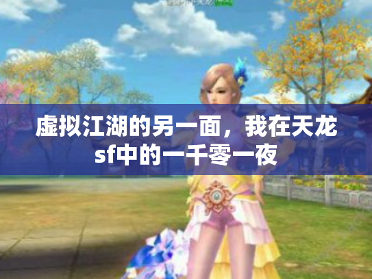 虚拟江湖的另一面，我在天龙sf中的一千零一夜
