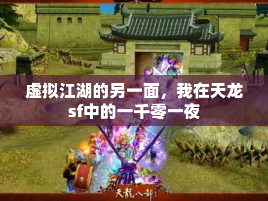 虚拟江湖的另一面，我在天龙sf中的一千零一夜