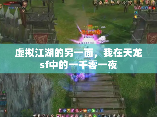 虚拟江湖的另一面，我在天龙sf中的一千零一夜