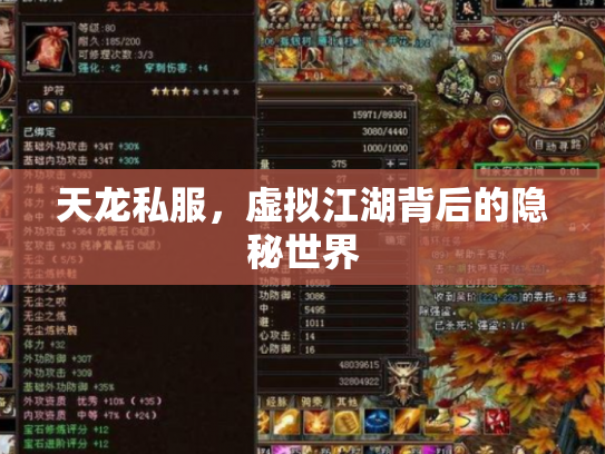 天龙私服，虚拟江湖背后的隐秘世界