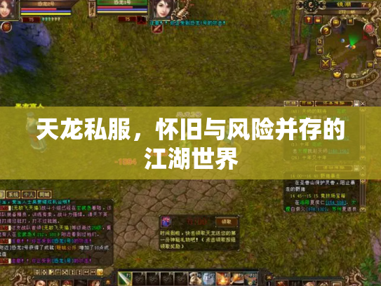 天龙私服，怀旧与风险并存的江湖世界