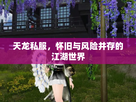 天龙私服，怀旧与风险并存的江湖世界