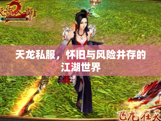 天龙私服，怀旧与风险并存的江湖世界