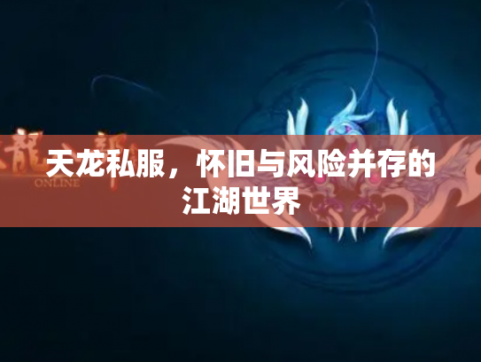 天龙私服，怀旧与风险并存的江湖世界