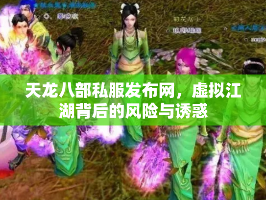 天龙八部私服发布网，虚拟江湖背后的风险与诱惑