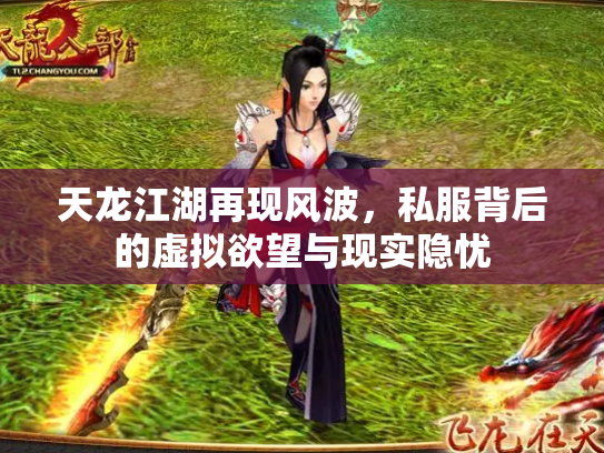 天龙江湖再现风波，私服背后的虚拟欲望与现实隐忧
