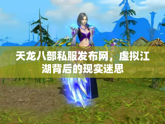 天龙八部私服发布网，虚拟江湖背后的现实迷思