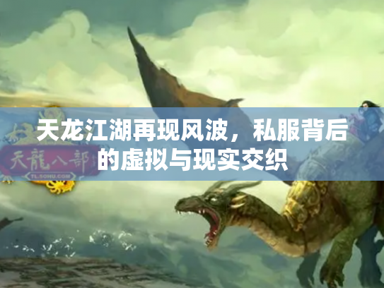 天龙江湖再现风波，私服背后的虚拟与现实交织