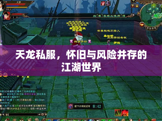 天龙私服，怀旧与风险并存的江湖世界