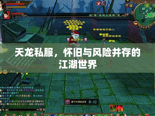 天龙私服，怀旧与风险并存的江湖世界