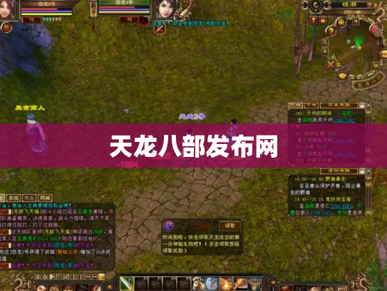 天龙八部发布网
