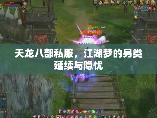 天龙八部私服，江湖梦的另类延续与隐忧