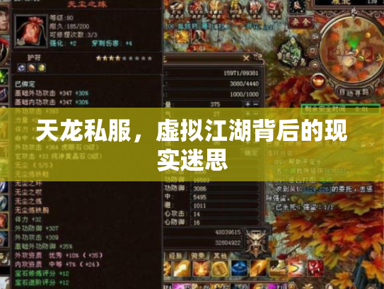 天龙私服，虚拟江湖背后的现实迷思