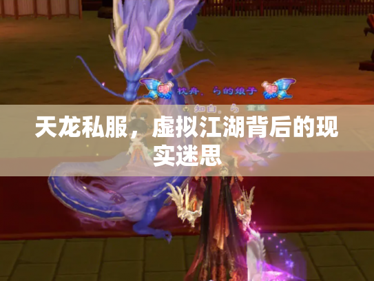 天龙私服，虚拟江湖背后的现实迷思