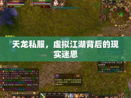 天龙私服，虚拟江湖背后的现实迷思
