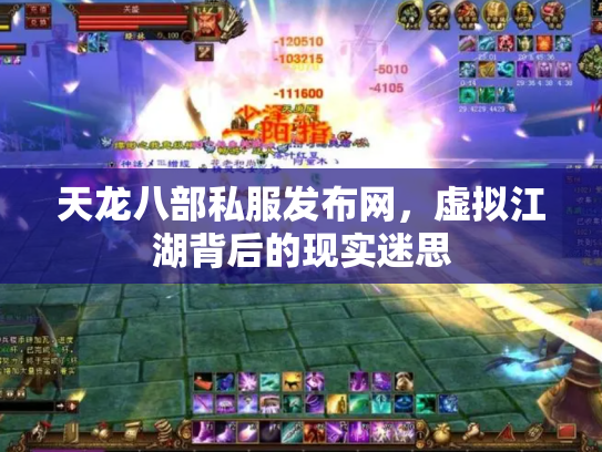 天龙八部私服发布网，虚拟江湖背后的现实迷思