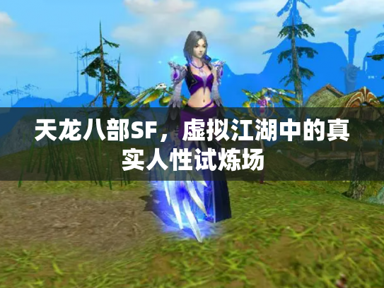天龙八部SF，虚拟江湖中的真实人性试炼场