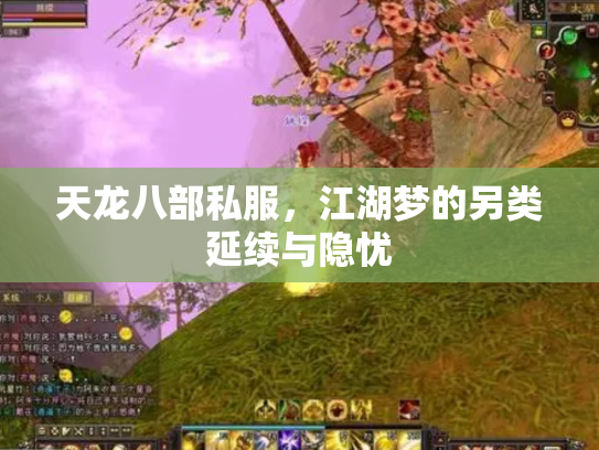 天龙八部私服，江湖梦的另类延续与隐忧