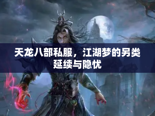 天龙八部私服，江湖梦的另类延续与隐忧