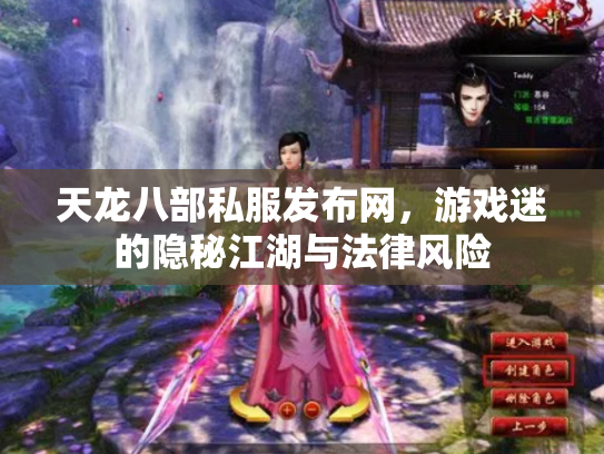 天龙八部私服发布网，游戏迷的隐秘江湖与法律风险