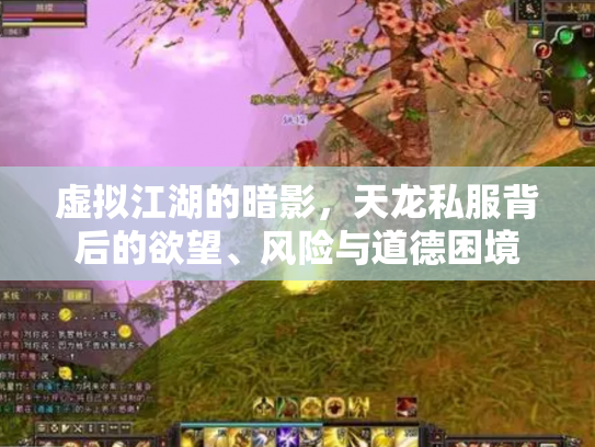 虚拟江湖的暗影，天龙私服背后的欲望、风险与道德困境