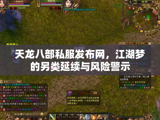 天龙八部私服发布网，江湖梦的另类延续与风险警示