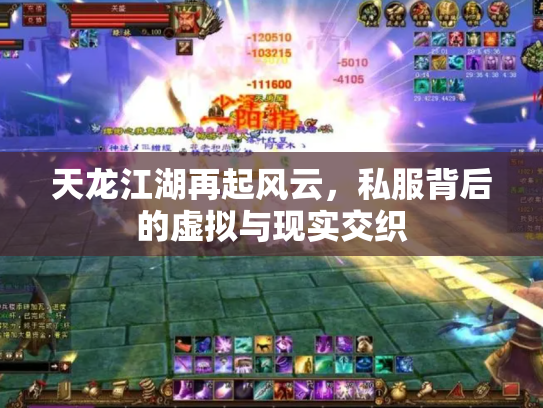 天龙江湖再起风云，私服背后的虚拟与现实交织