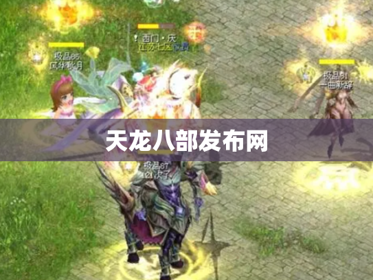 天龙八部发布网