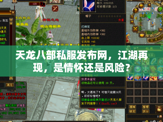 天龙八部私服发布网，江湖再现，是情怀还是风险？