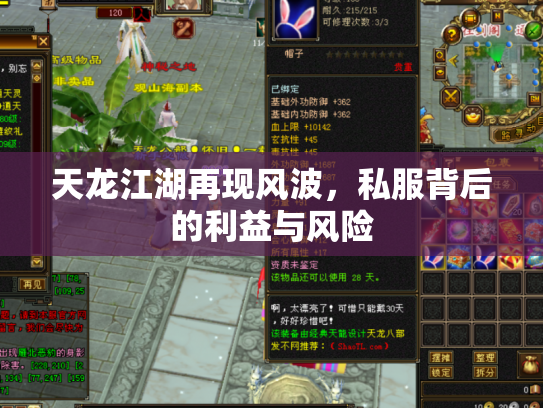 天龙江湖再现风波，私服背后的利益与风险