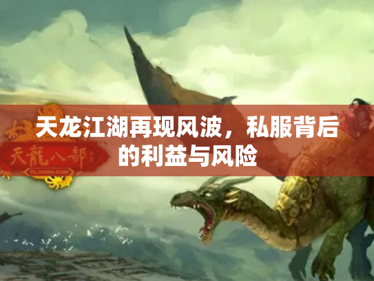 天龙江湖再现风波，私服背后的利益与风险
