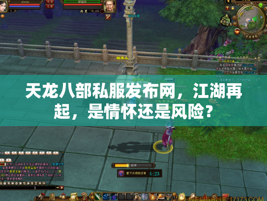 天龙八部私服发布网，江湖再起，是情怀还是风险？