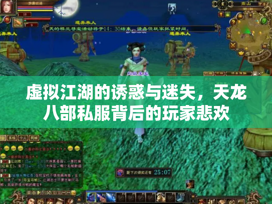 虚拟江湖的诱惑与迷失，天龙八部私服背后的玩家悲欢