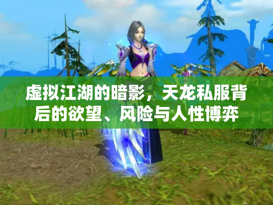 虚拟江湖的暗影，天龙私服背后的欲望、风险与人性博弈