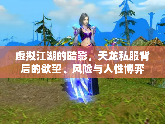 虚拟江湖的暗影，天龙私服背后的欲望、风险与人性博弈