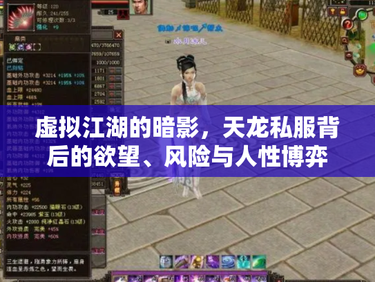 虚拟江湖的暗影，天龙私服背后的欲望、风险与人性博弈