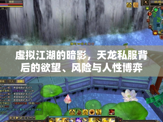 虚拟江湖的暗影，天龙私服背后的欲望、风险与人性博弈