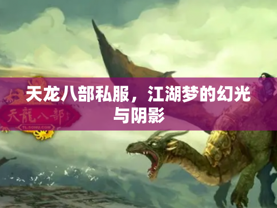 天龙八部私服，江湖梦的幻光与阴影