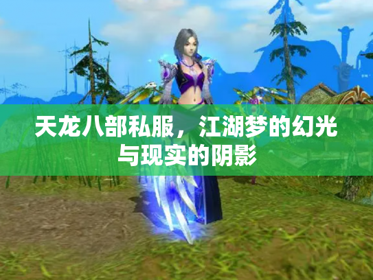 天龙八部私服，江湖梦的幻光与现实的阴影