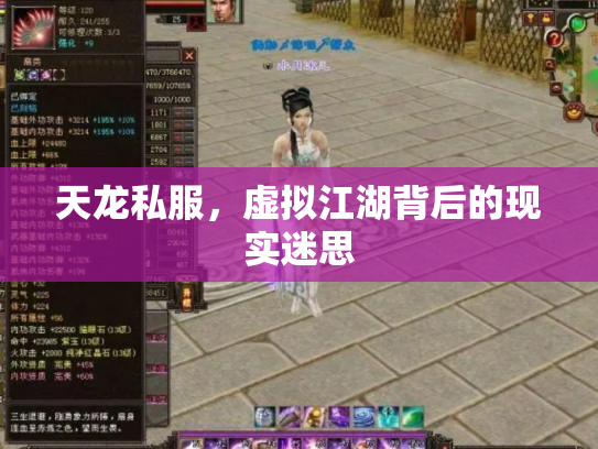 天龙私服，虚拟江湖背后的现实迷思