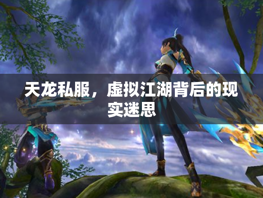 天龙私服，虚拟江湖背后的现实迷思