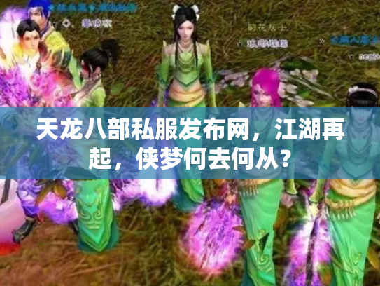 天龙八部私服发布网，江湖再起，侠梦何去何从？