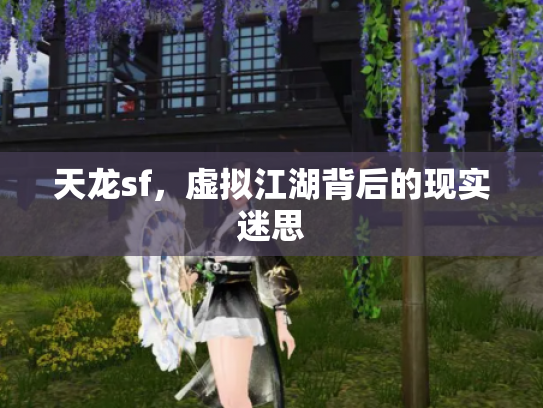 天龙sf，虚拟江湖背后的现实迷思