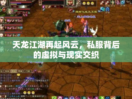 天龙江湖再起风云，私服背后的虚拟与现实交织
