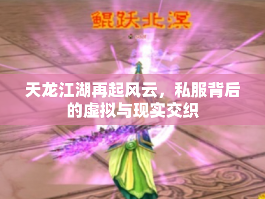天龙江湖再起风云，私服背后的虚拟与现实交织