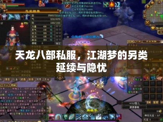 天龙八部私服，江湖梦的另类延续与隐忧