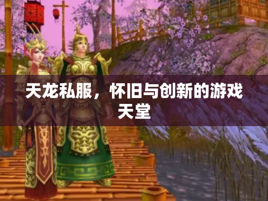 天龙私服，怀旧与创新的游戏天堂